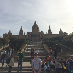 IMG 301